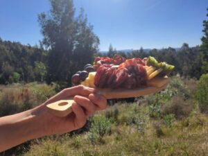 Dpicada lanza sus "Picadas Culturales"