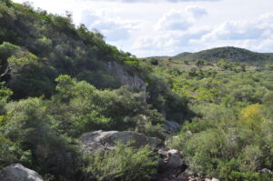 La Cartita de Juanpedro Minuano