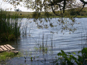 La Cartita de Juanpedro Minuano