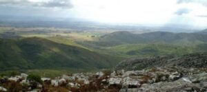 La Cartita de Juanpedro Minuano