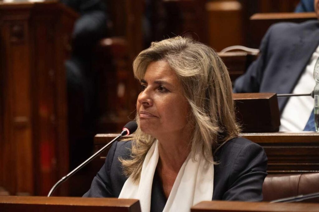 Diputada Adriana Peña (Foto: Comunicación diputada Adriana Peña)