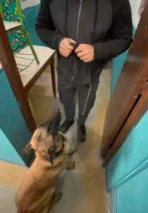 Pretendió ingresar marihuana al INR 17 Campanero; fue condenada