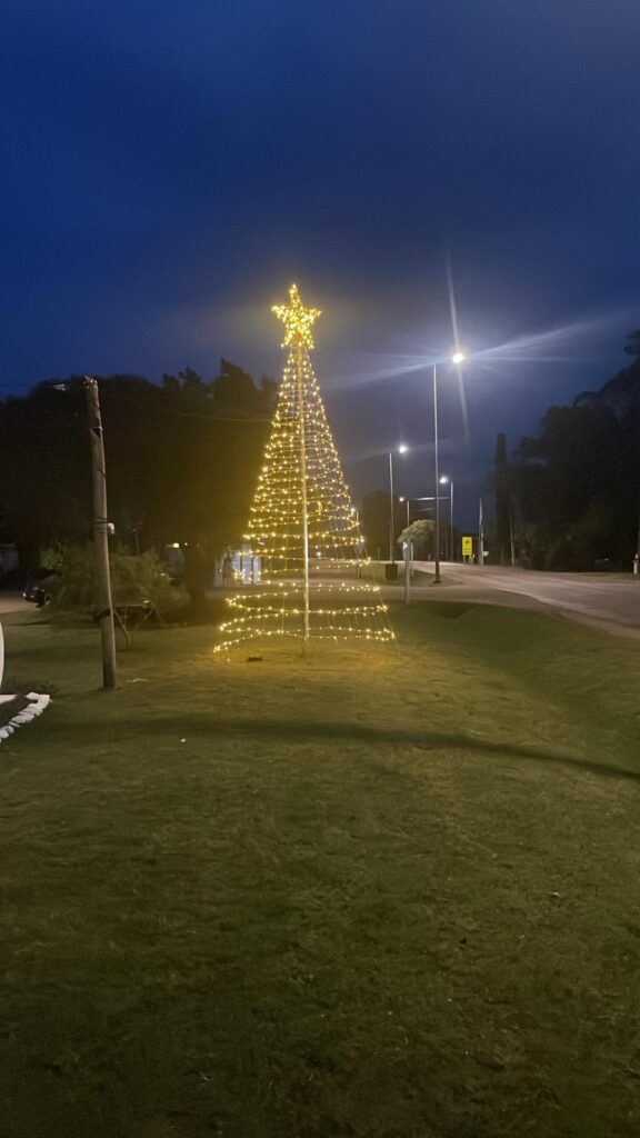Vecinos de Villa del Rosario ya tienen pronto su arbolito de Navidad