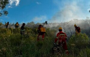 Bomberos, soldados, funcionarios municipales, voluntarios y vecinos trabajan en la extinción del incendio. (Foto Ejército Nacional)