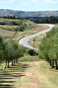 El establecimiento está ubicado sobre el km 357 de ruta 12, a 14 kms de Minas (Foto: Pablo Decaro).