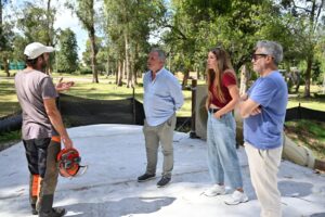 La intendencia quitará árboles en malas condiciones del parque Rodó