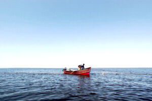 Río adentro: la película es exhibida en Cine Doré sábado y domingo