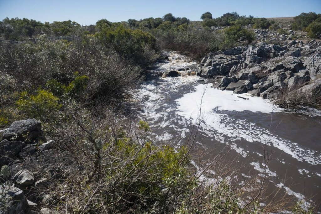 Arroyo Casupá, en el departamento de Florida (Alessandro Maradei, la diaria)