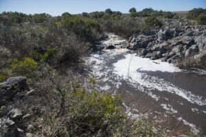 Arroyo Casupá, en el departamento de Florida (Alessandro Maradei, la diaria)