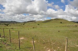 La Cartita de Juanpedro Minuano