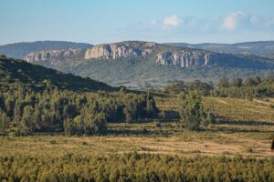 Manantiales Serranos involucra a tres secciones catastrales de Lavalleja.