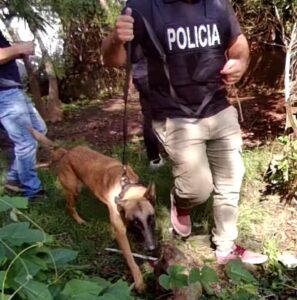 Quiso deshacerse de la cocaína pero no pudo hacerlo: fue a prisión