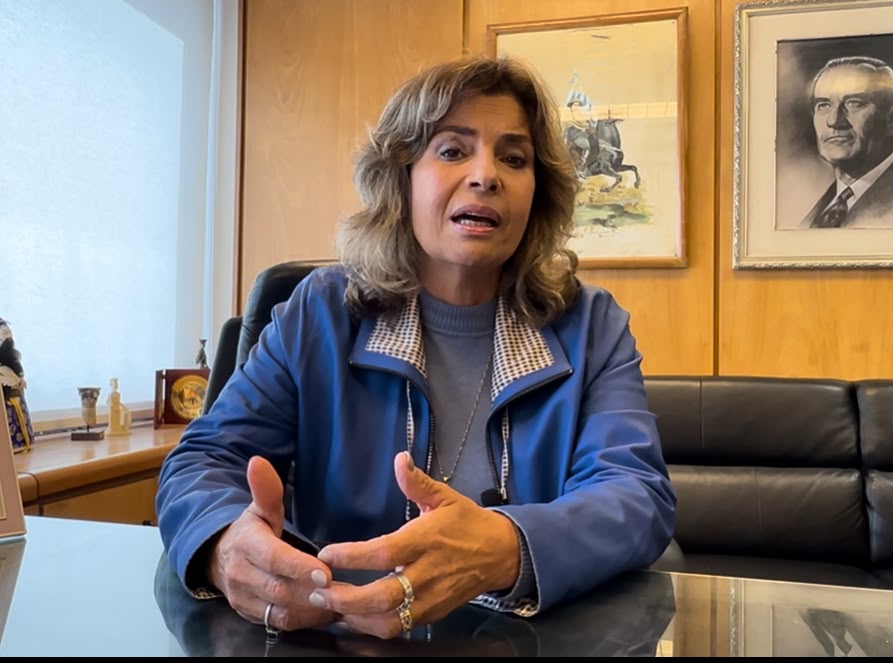 Diputada Adriana Peña