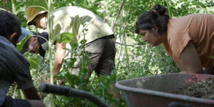 Cambio de enfoque de la IDL en la entrega de semillas hortícolas de primavera-verano