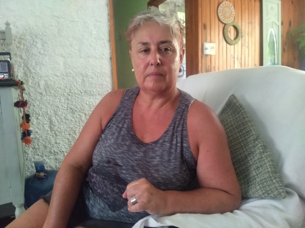 Ana Caballero, referente de ADES Minas