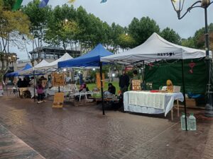 En el transcurso de la actividad se desarrolló una feria de emprendedores en plaza Libertad.